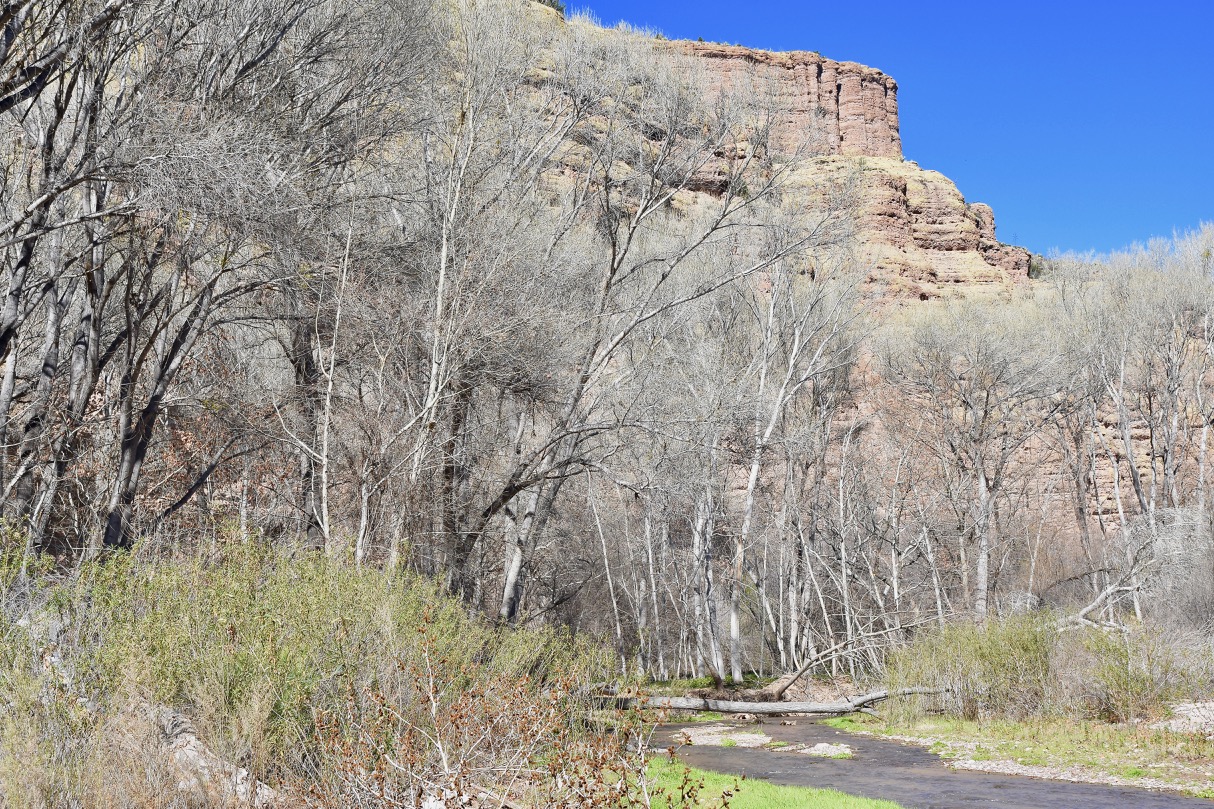Arivaipa canyon